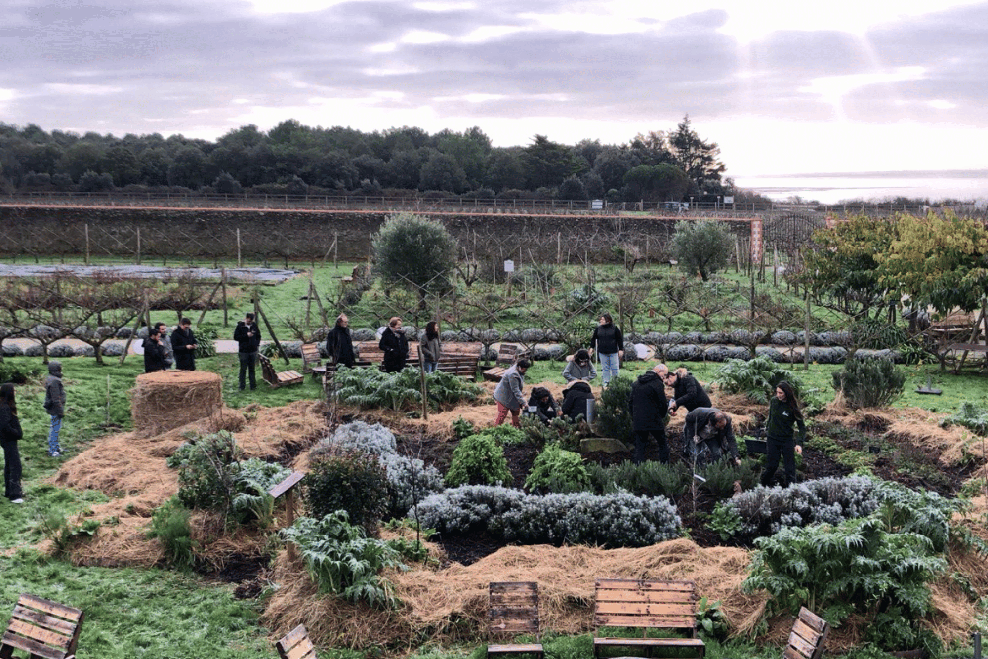 ateliers-eco-engages---eco-domaine-la-fontaine-divers-7